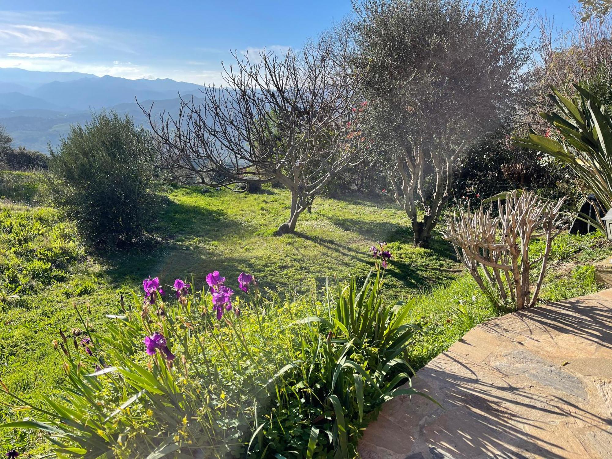Carpediem_Corsica Poggio-d'Oletta Zewnętrze zdjęcie